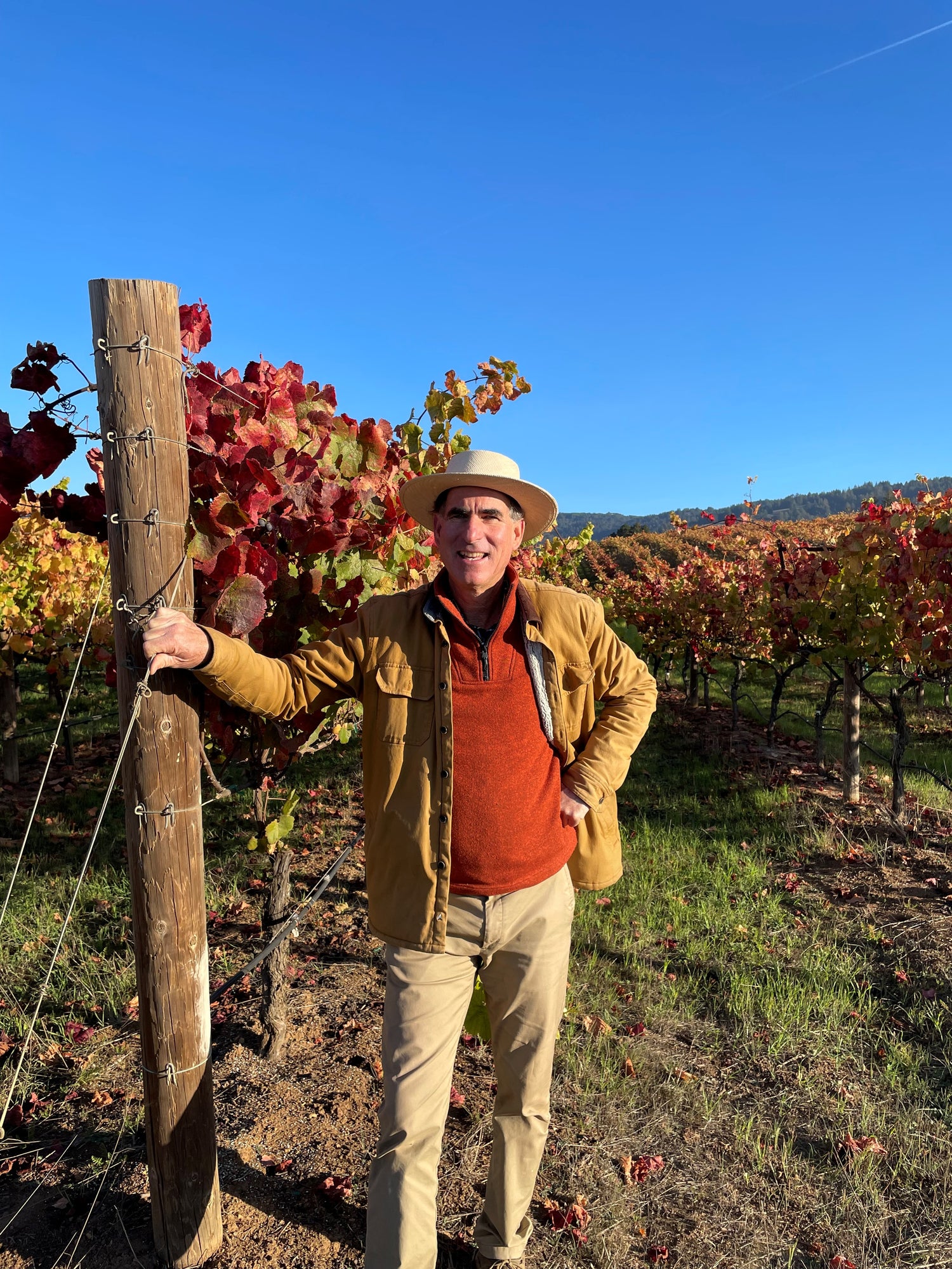 John Bargetto in vineyard